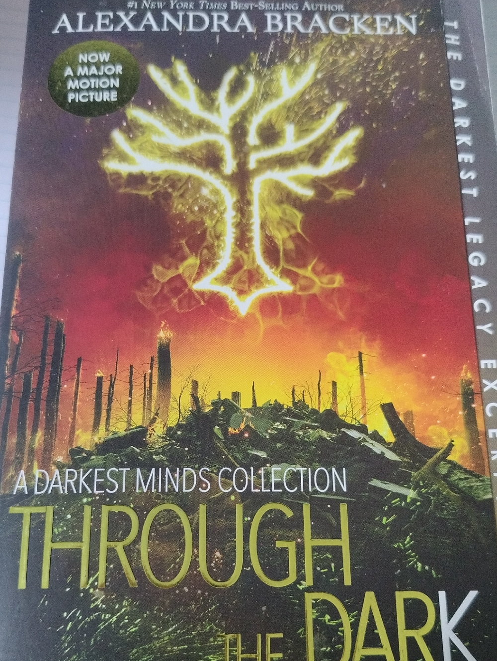 Alexandra Bracken